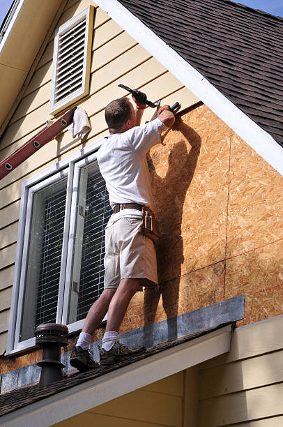 Best Storm Damage Siding Repair  in Grand Marais, MN